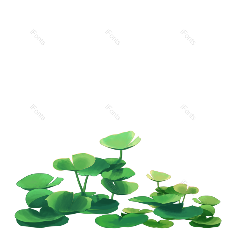 叶子图片,叶子装饰元素,绿植PNG,荷叶免抠素材